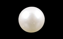 Pearl - SSP 8559 (Origin - South Sea) Prime - Quality